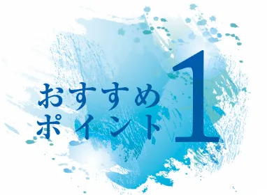おすすめポイント1